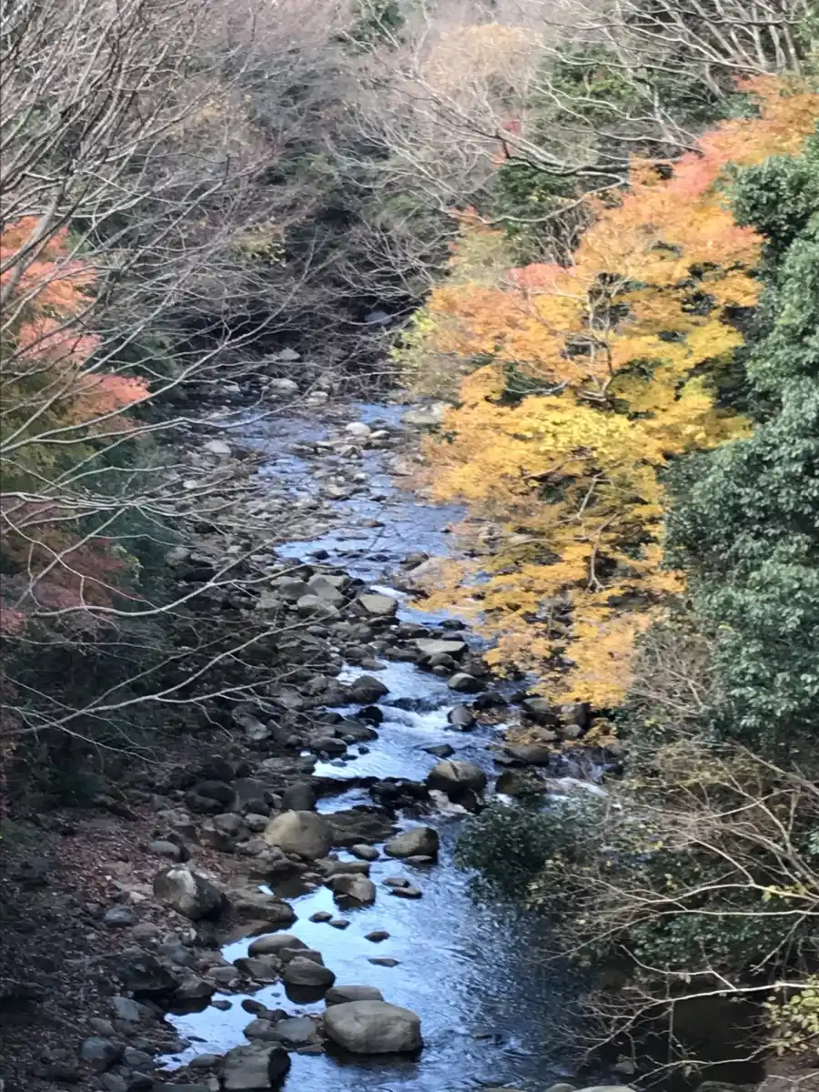 河内渓谷の写真