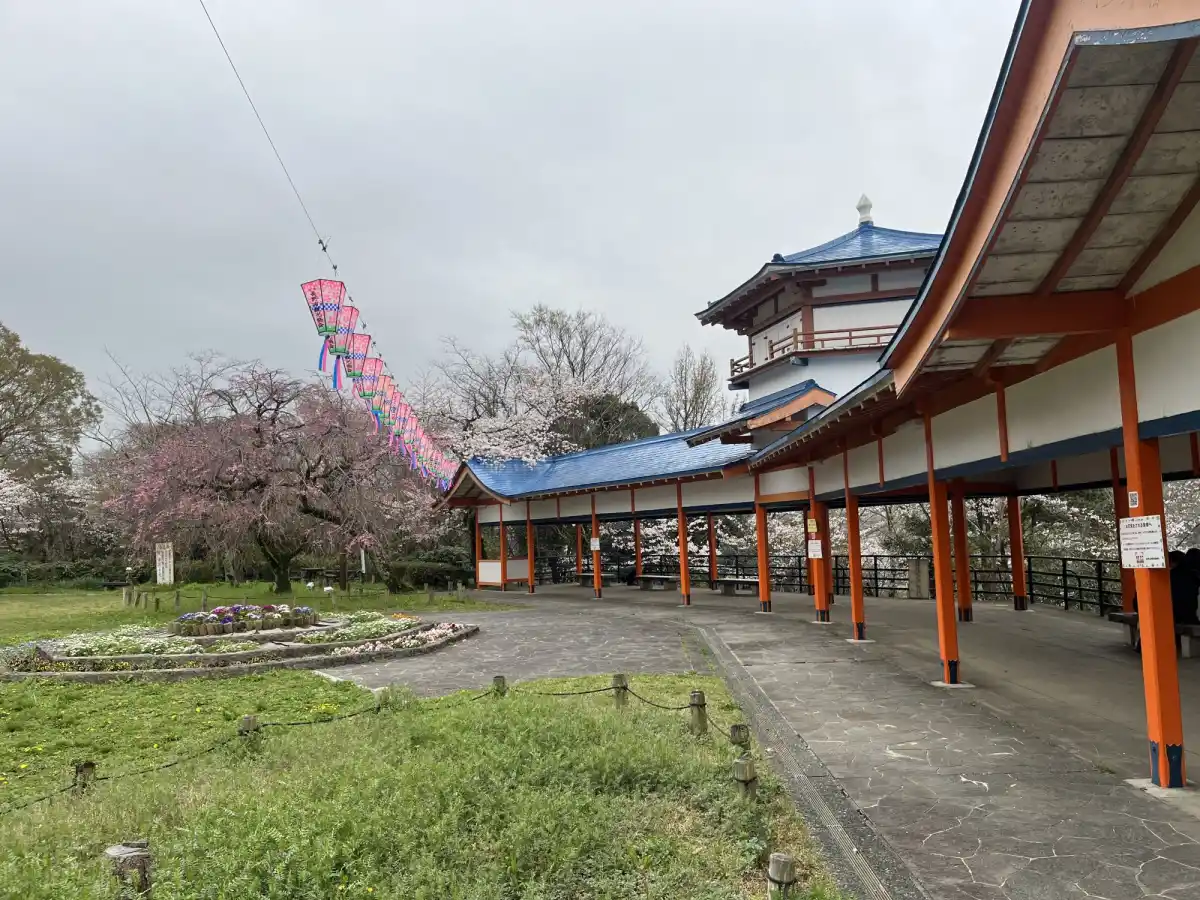 奥河内さくら公園（長野公園）の写真