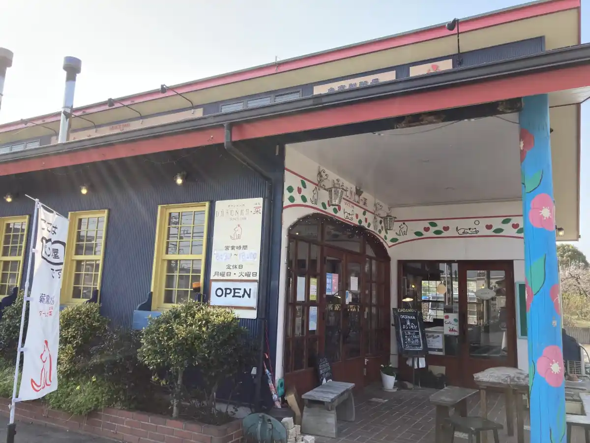 ダーシェンカ菜（ダーシェンカ豊田店）の写真