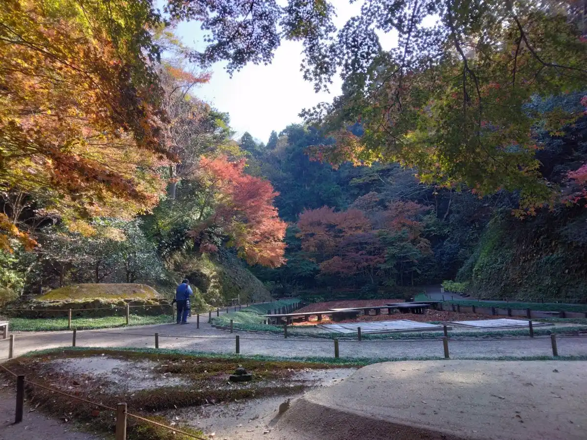 明月院　庭園の写真