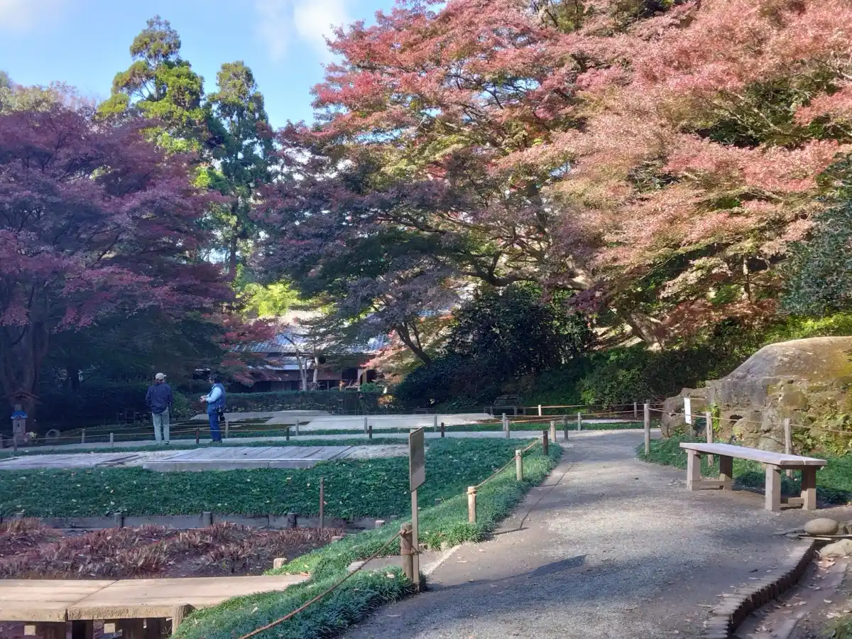 明月院　庭園の写真