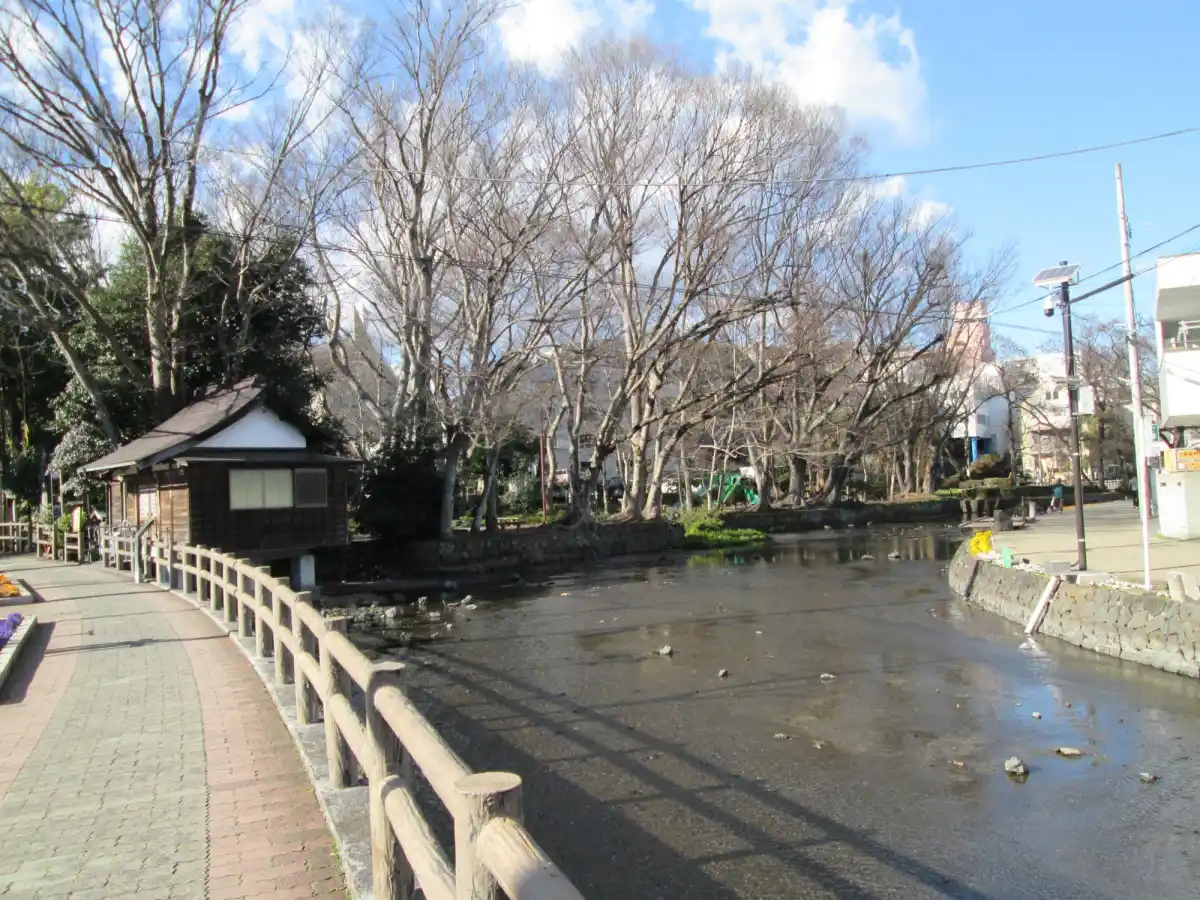 白滝公園の写真