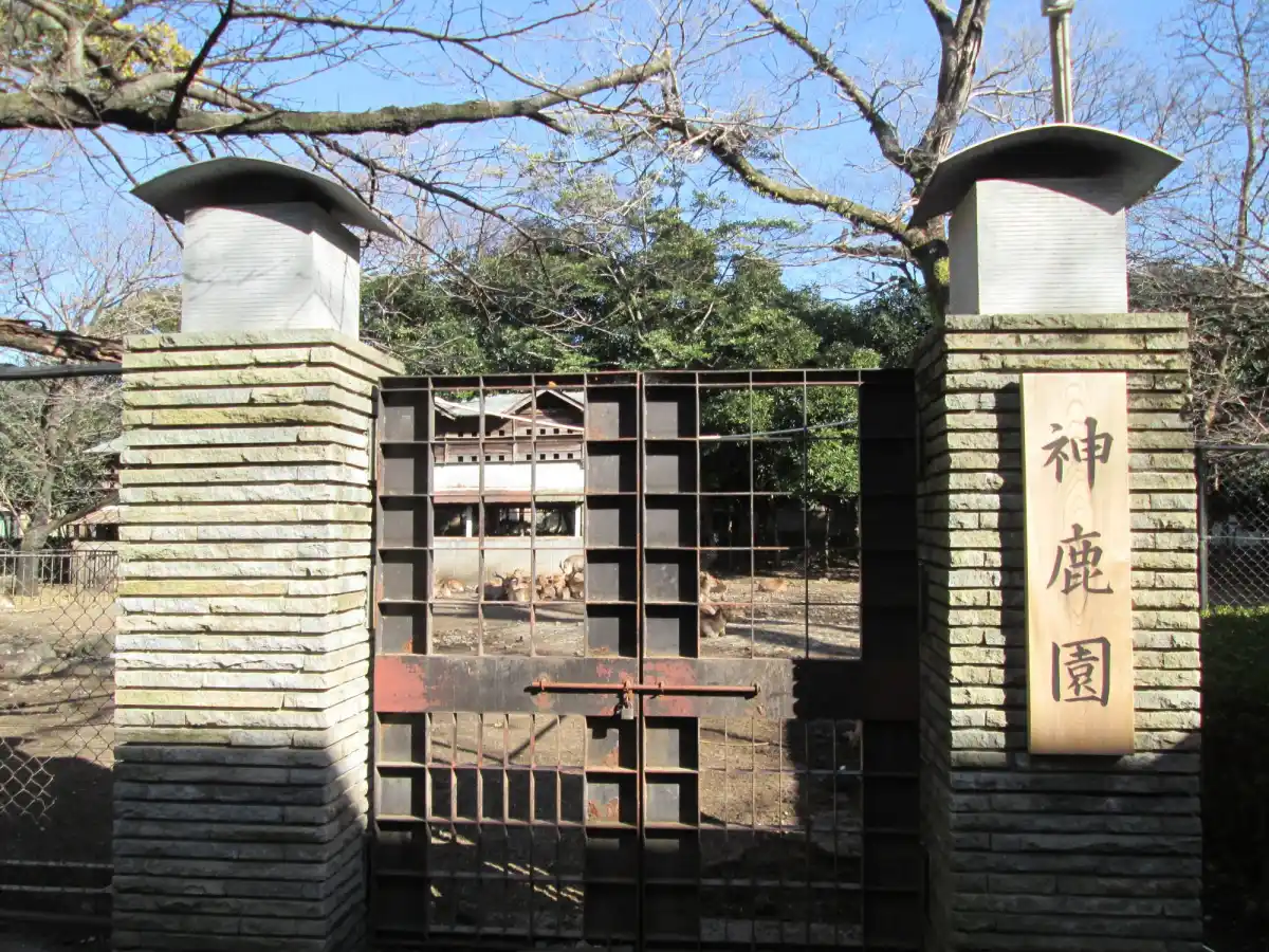 三嶋大社の写真