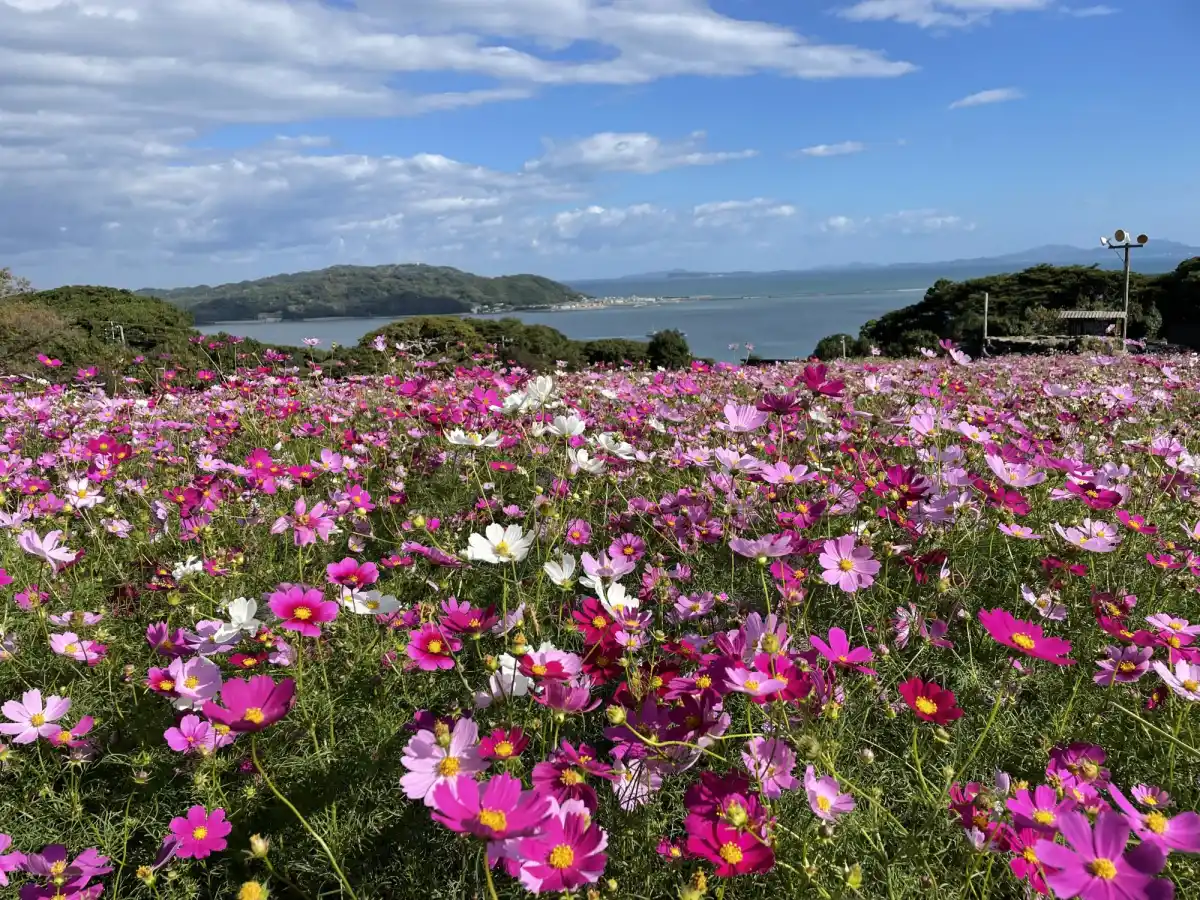 能古島の写真
