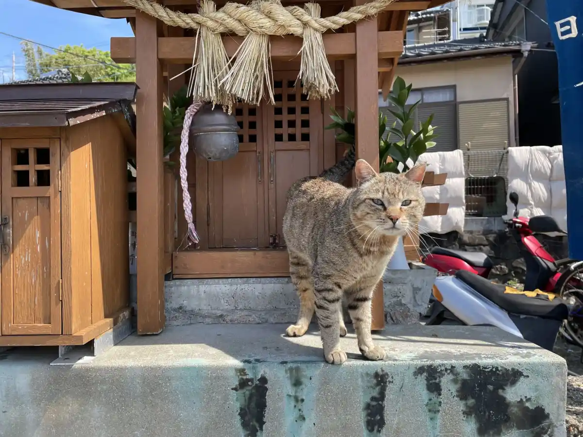 湯島の写真