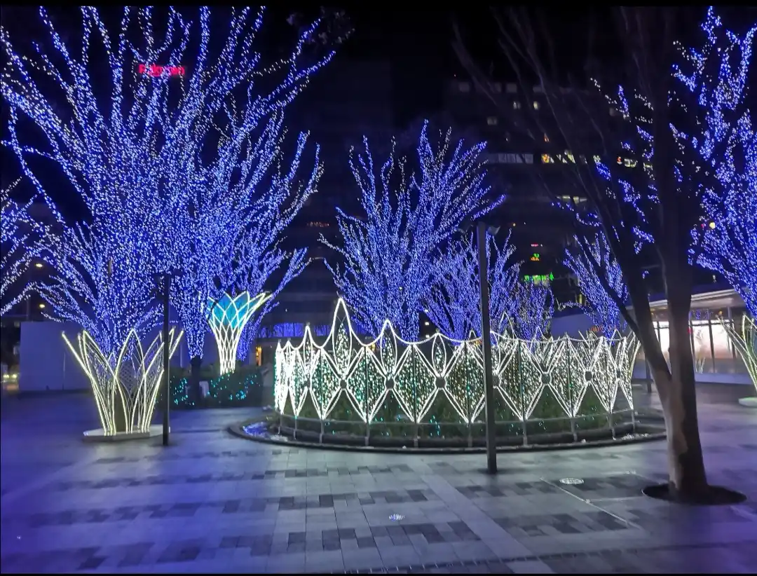クリスマススポットの写真