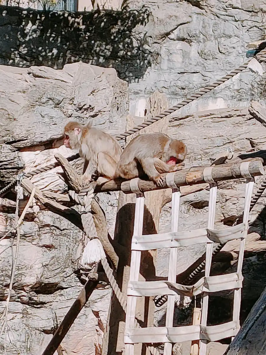 よこはま動物園ズーラシアの写真