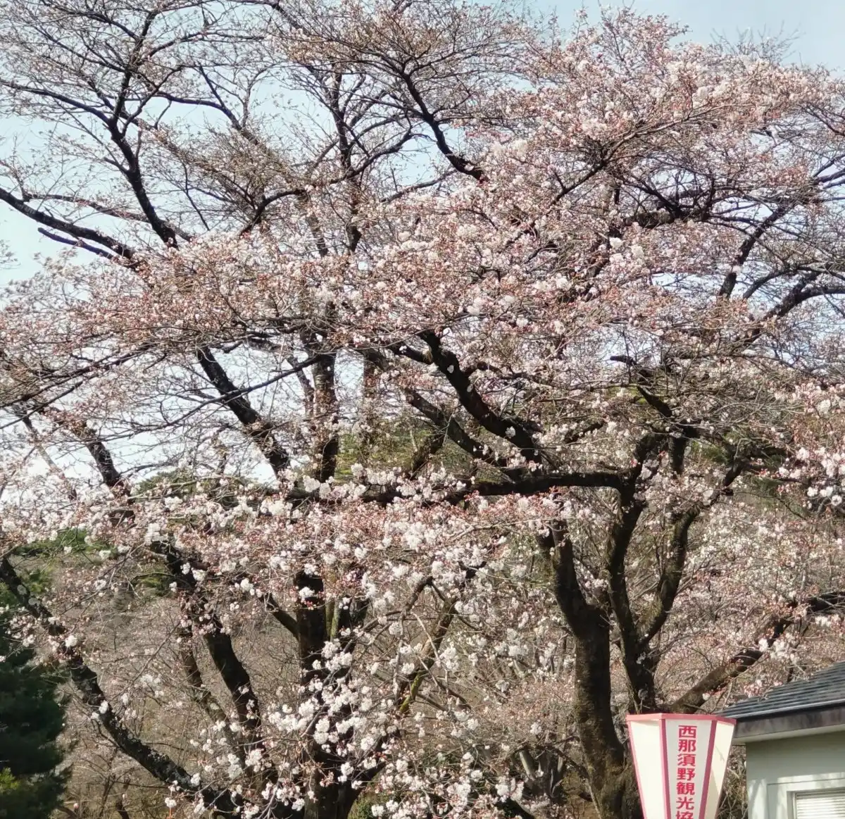 烏ヶ森公園の写真