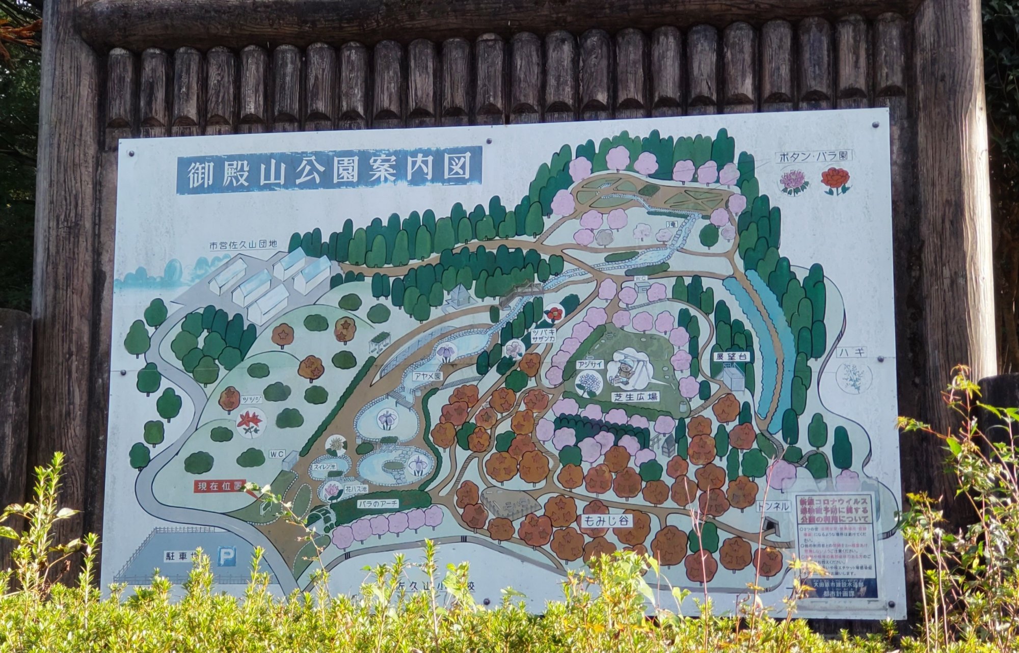 御殿山公園の写真