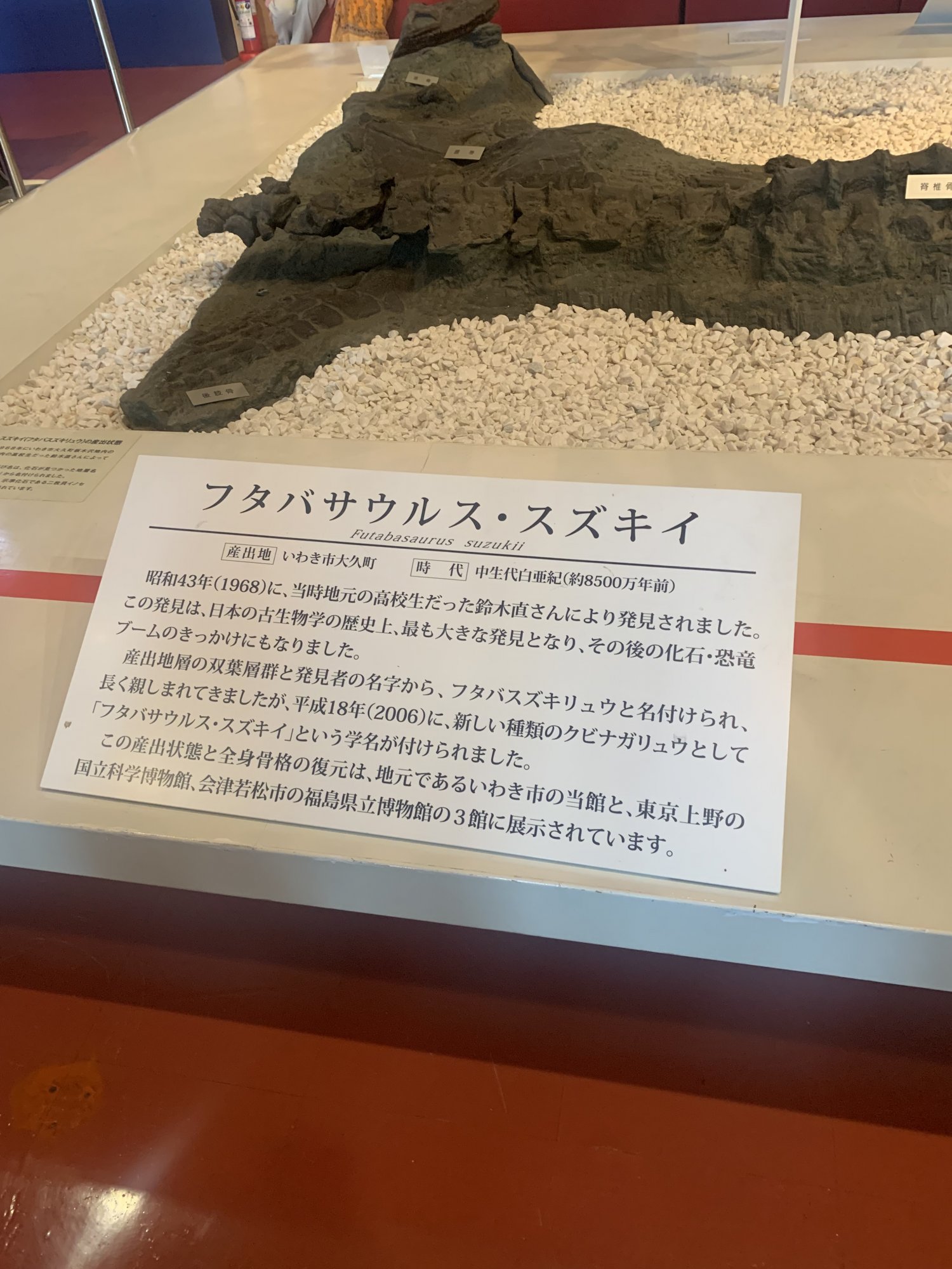いわき市石炭・化石館 ほるるの写真