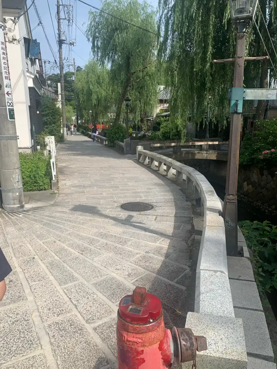 ペリーロードの写真