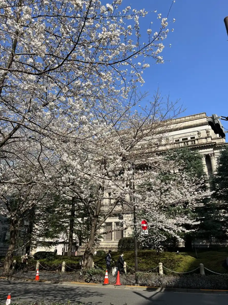 日本銀行本店の写真
