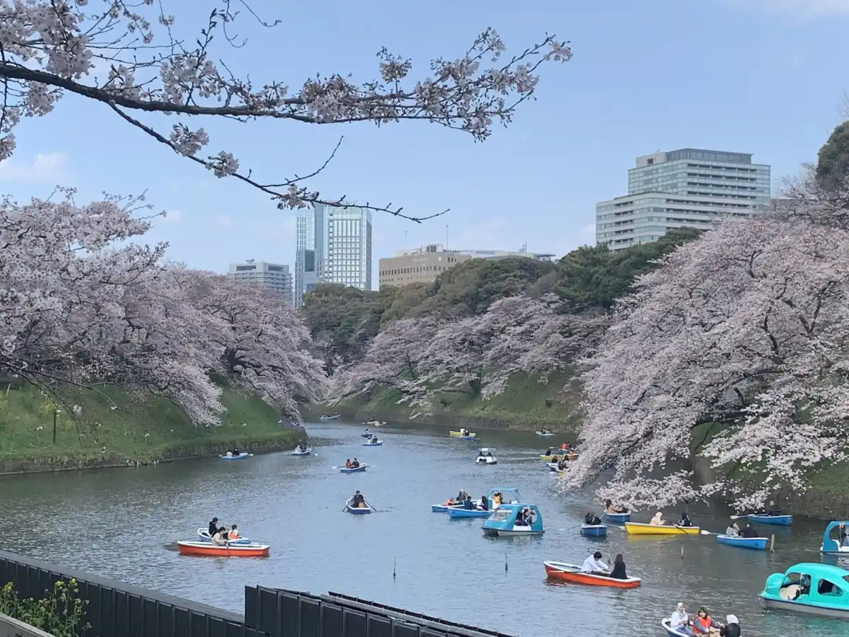 千鳥ヶ淵緑道の写真