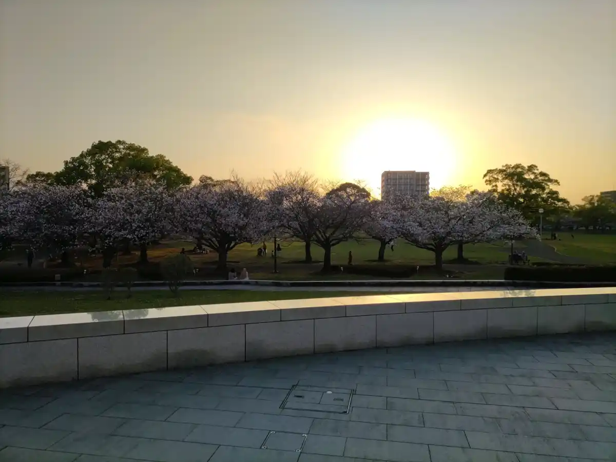宮崎県総合文化公園の写真