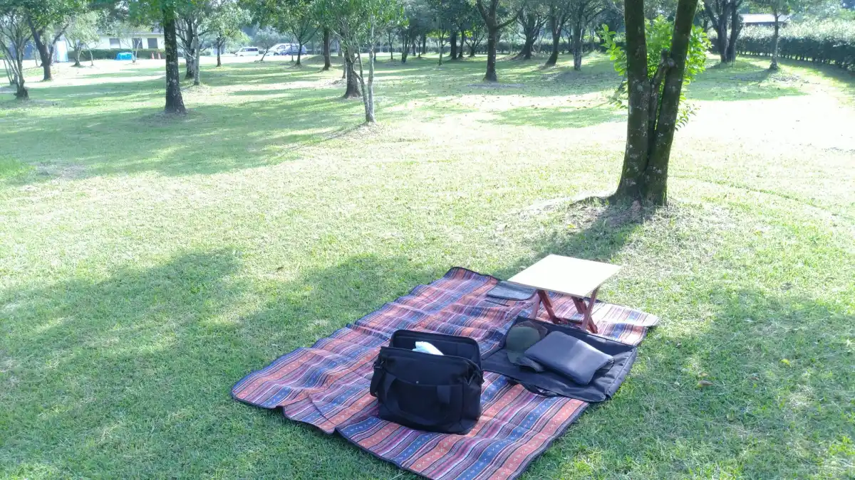 萩の台公園の写真