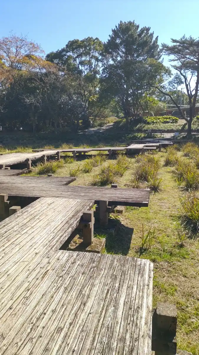 阿波岐原森林公園の写真