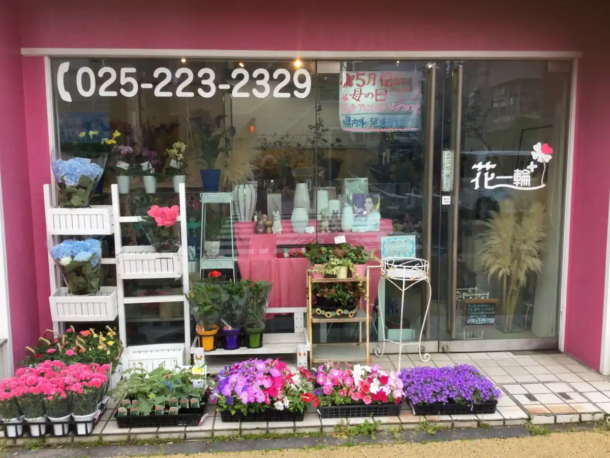 花一輪の写真