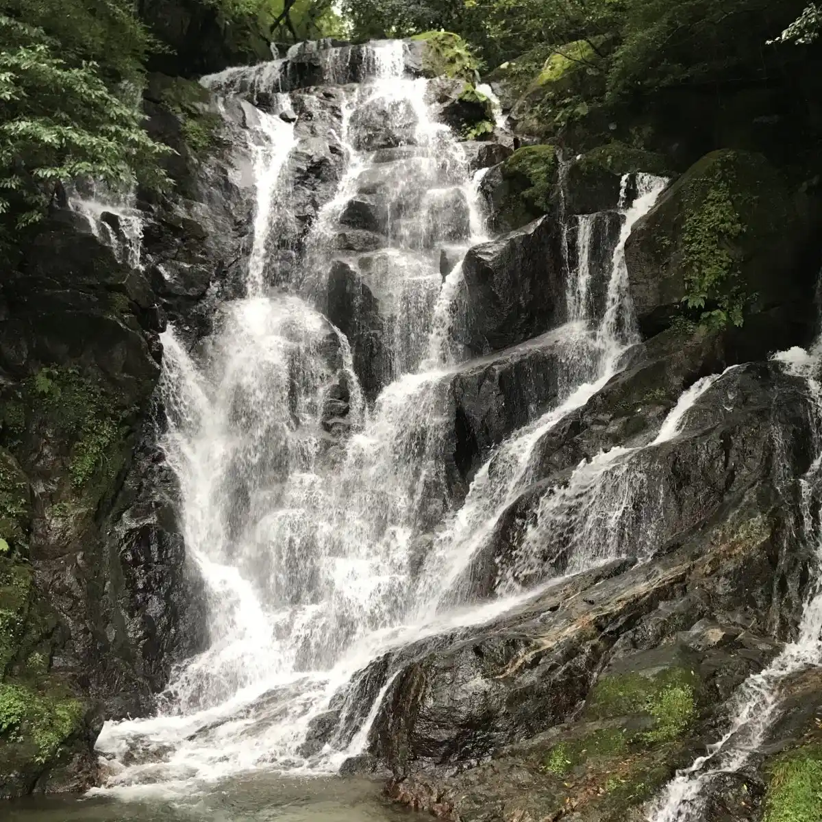 白糸の滝の写真