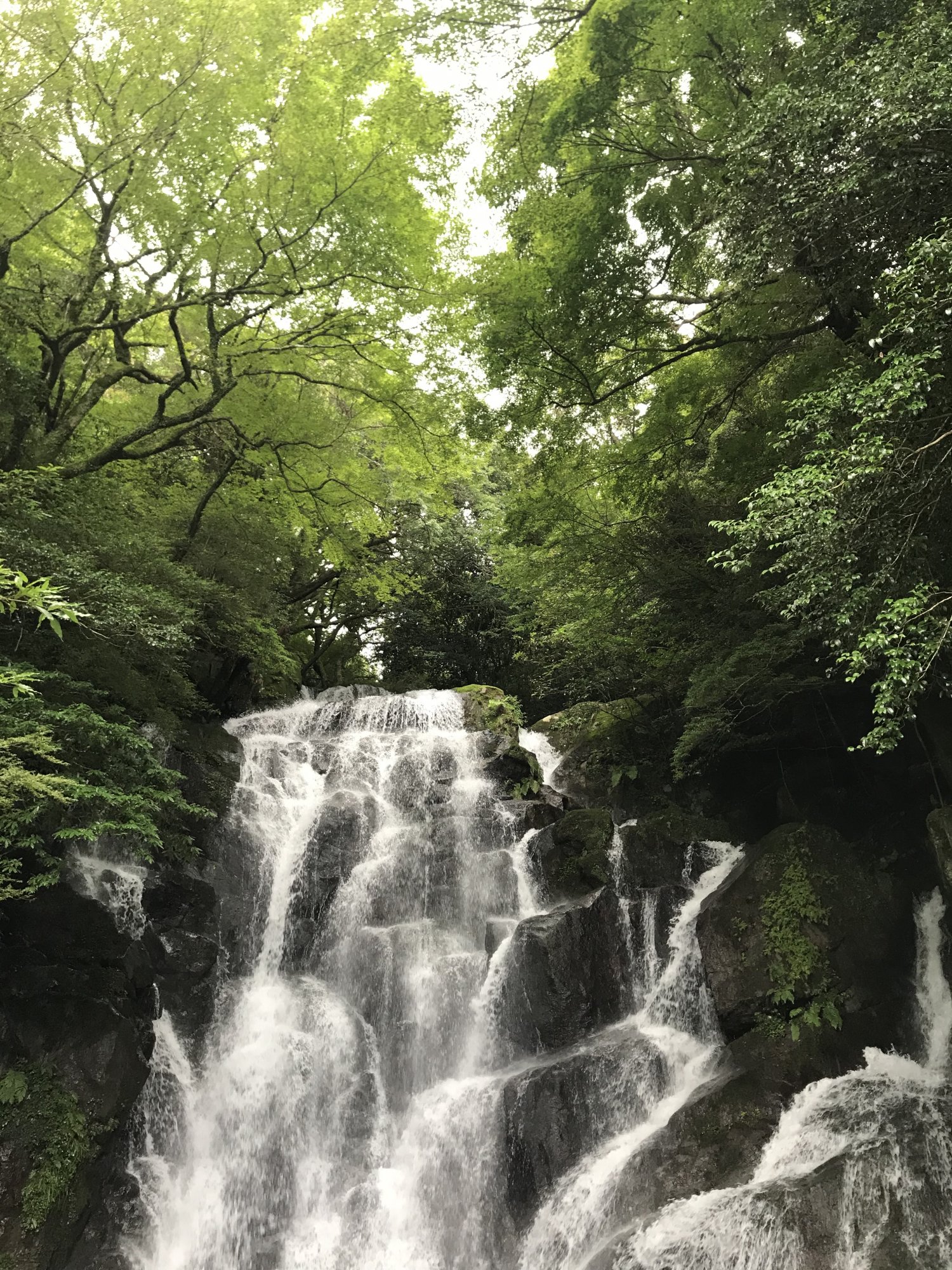 白糸の滝の写真