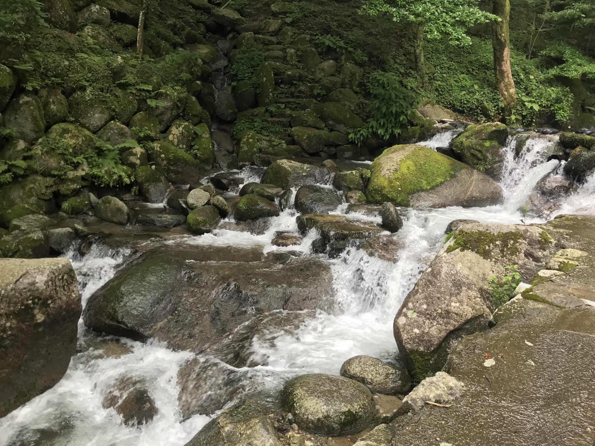 白糸の滝の写真