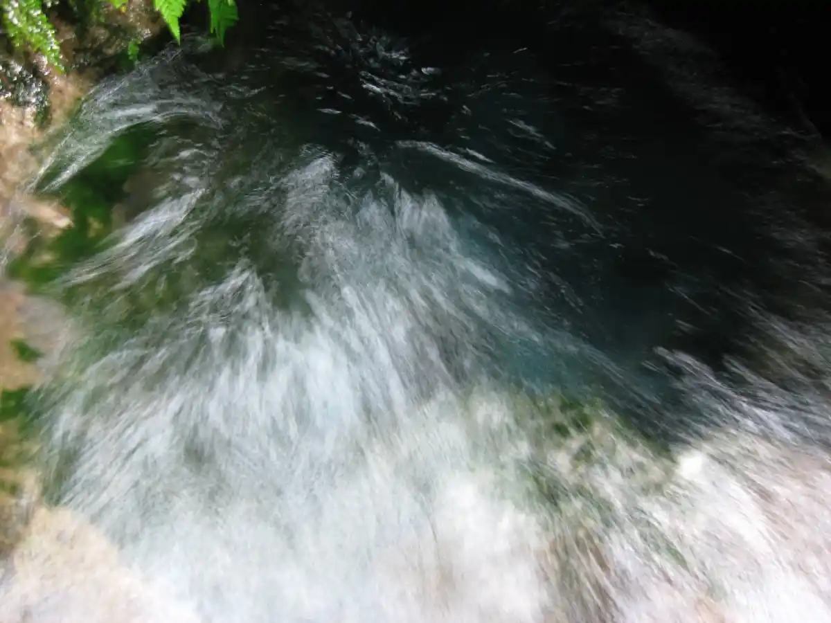 大出水の湧水の写真