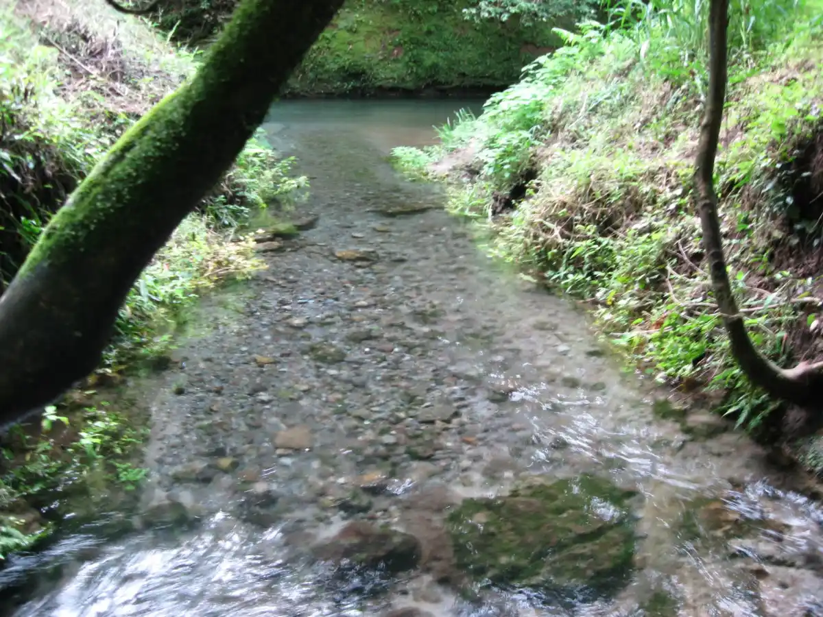 大出水の湧水の写真