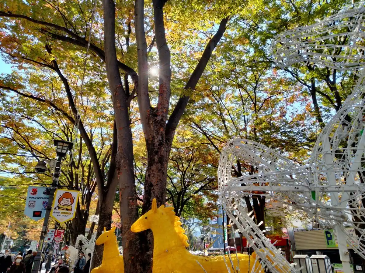 府中のケヤキ並木の写真