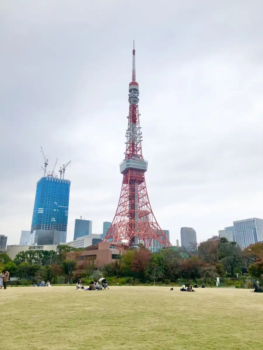 寝転がりながら東京タワーを見れる広場の写真