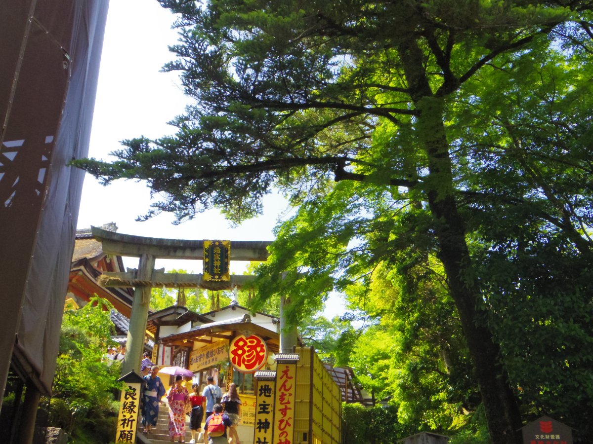 地主神社の写真