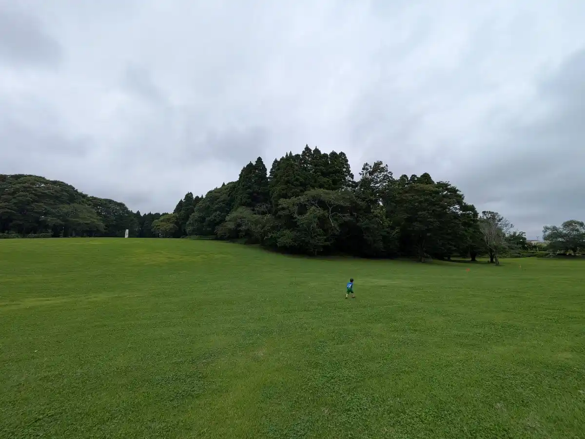 千葉市 昭和の森の写真