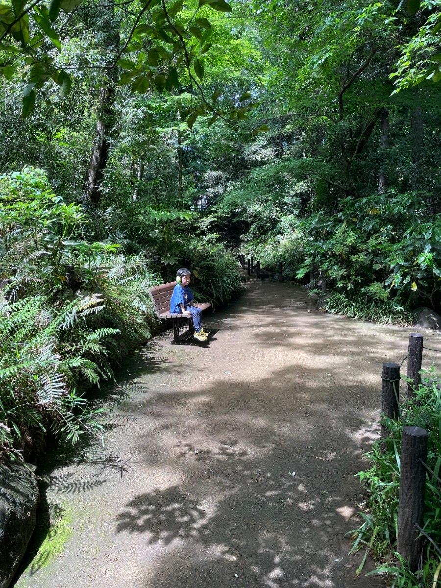 新宿区立おとめ山公園の写真