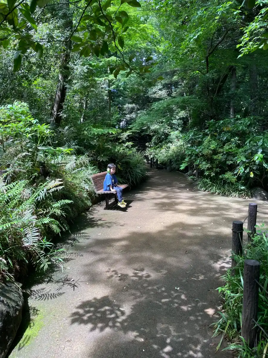新宿区立おとめ山公園の写真