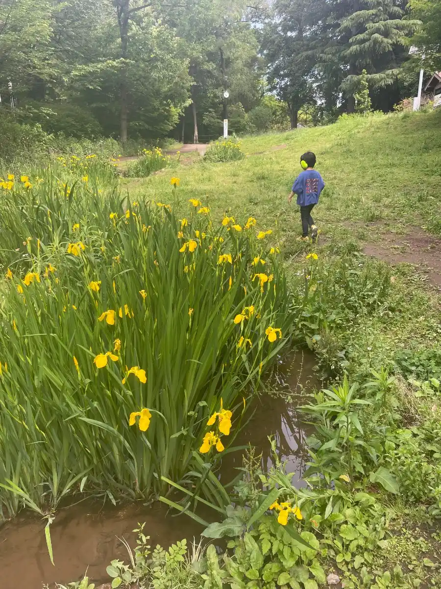 新宿区立おとめ山公園の写真