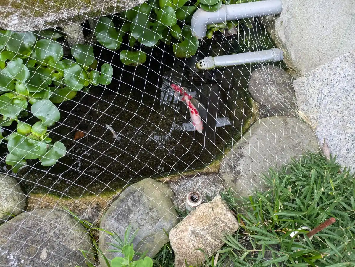 走水神社の写真