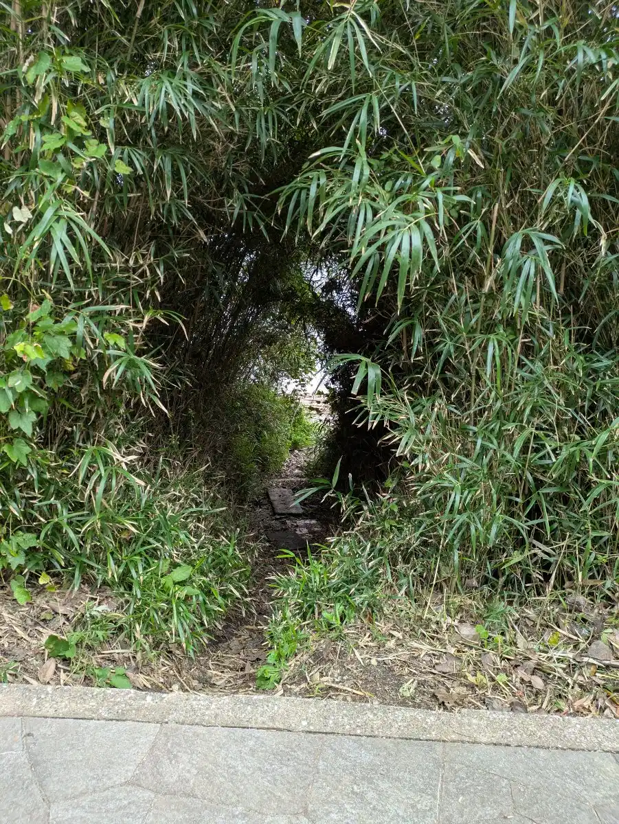 神奈川県立観音崎公園