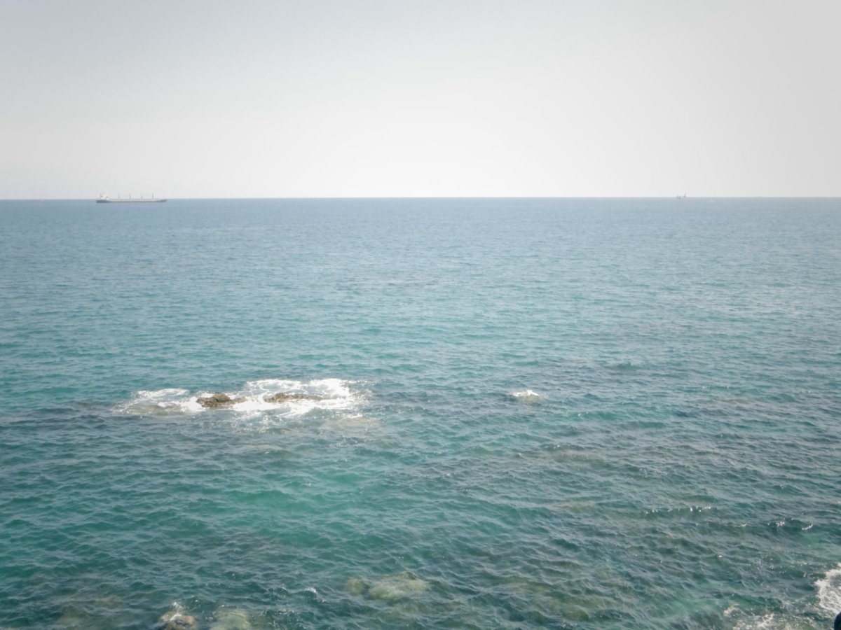 桂浜の写真