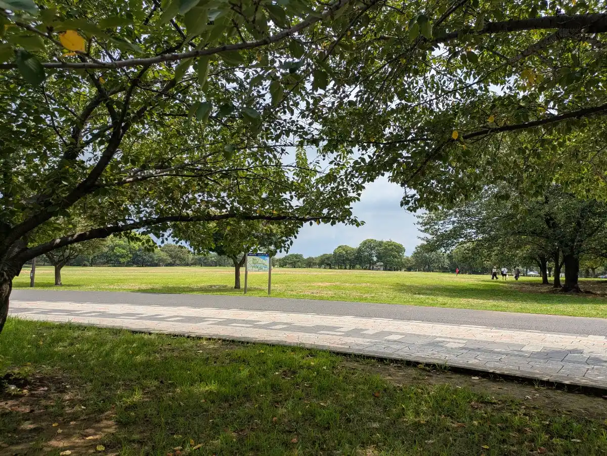 大島小松川公園の写真