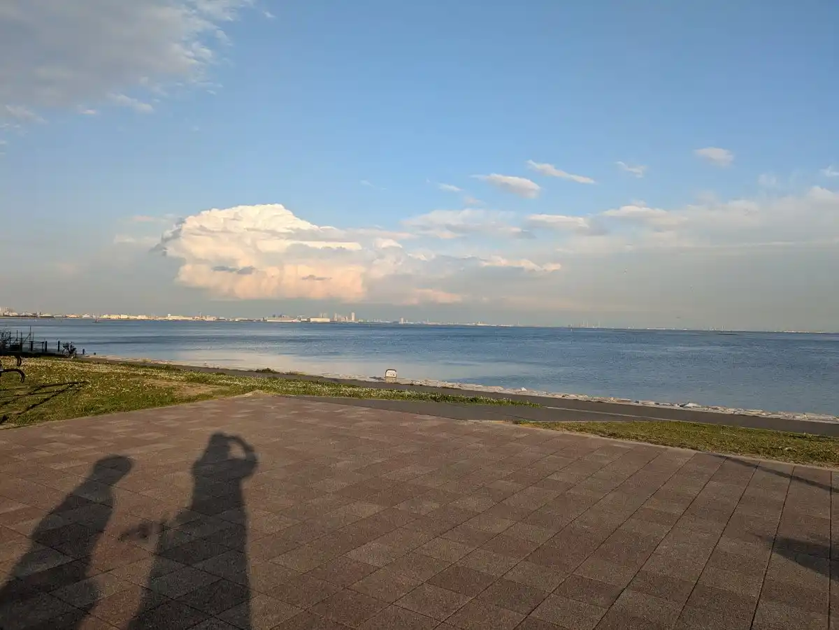 市川塩浜三番瀬公園の写真