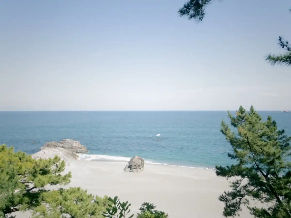 桂浜の写真