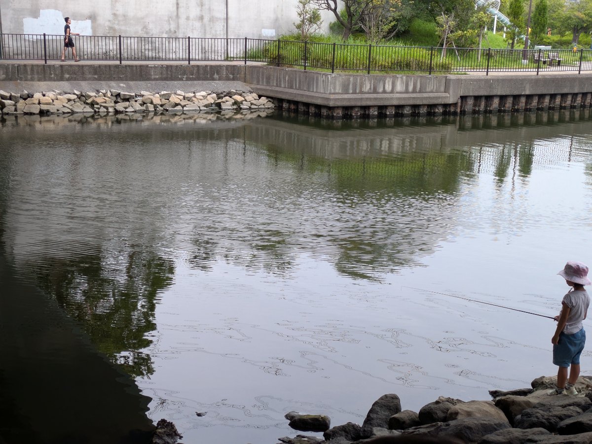 新左近川親水公園の写真