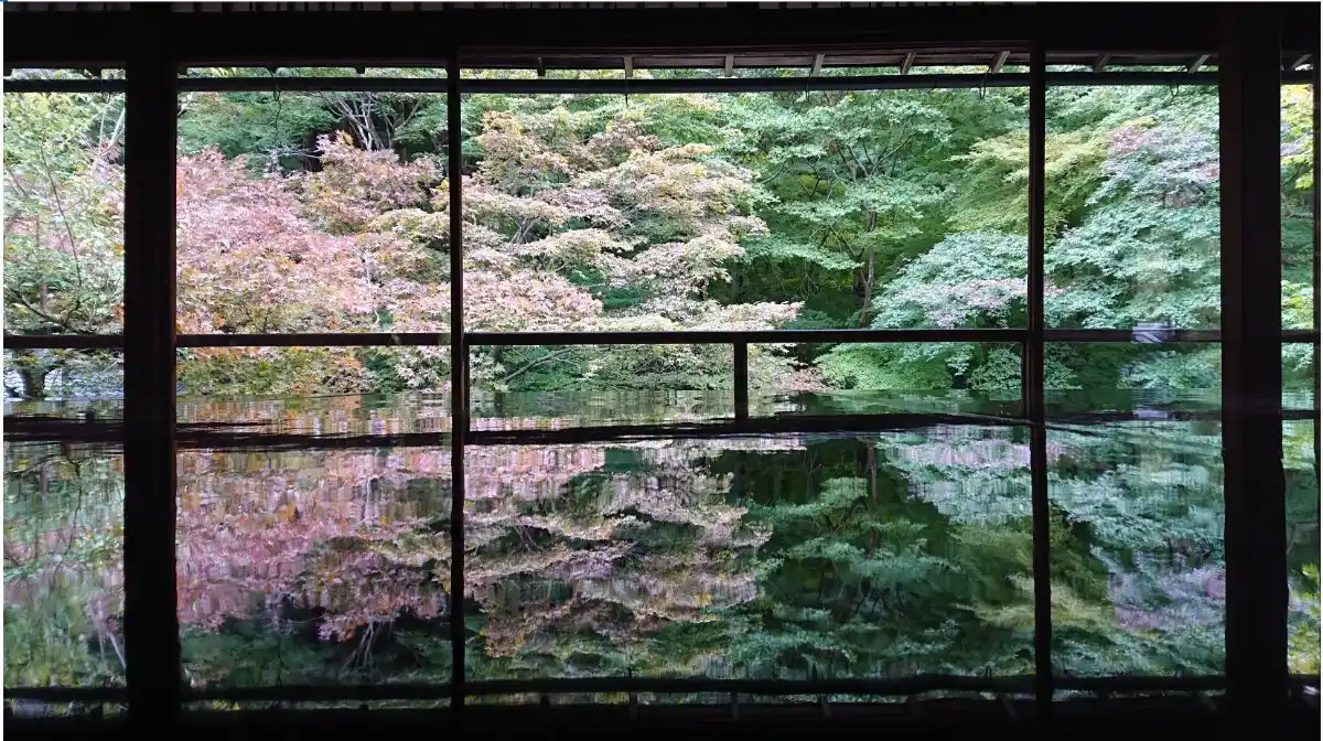 瑠璃光院の写真