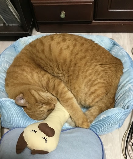 がっちゃん