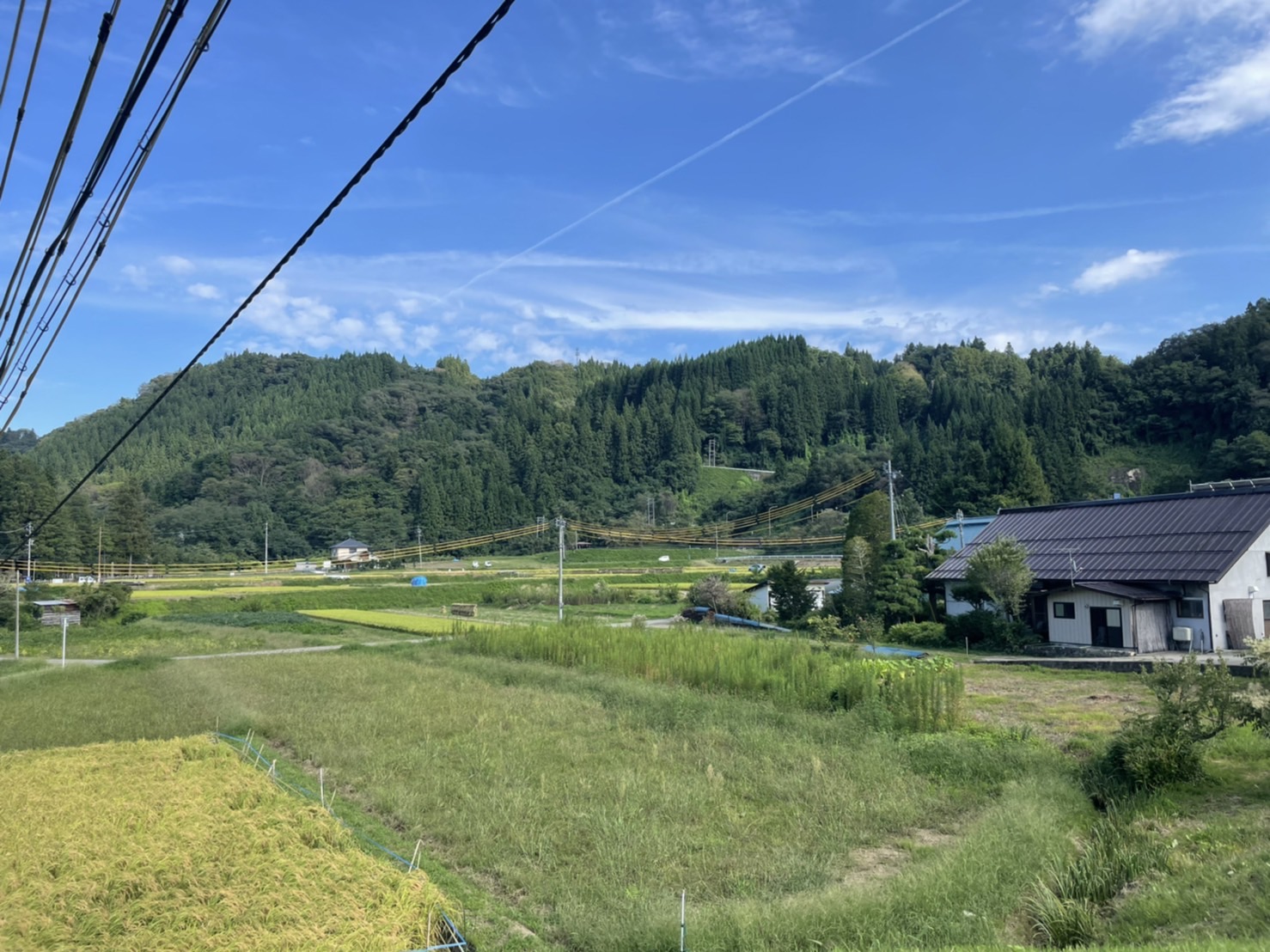 すし
